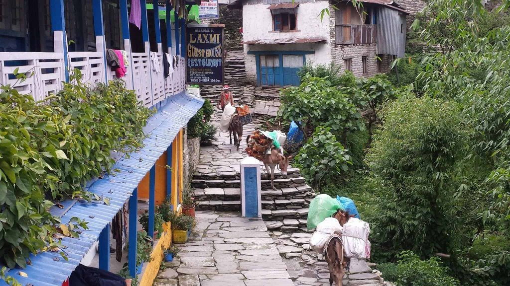hiking in nepal that are not everest base camp