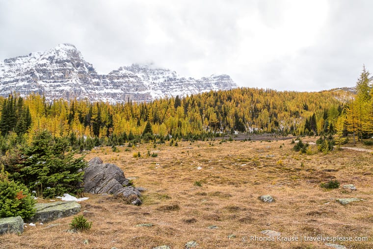 trekking in banff alberta