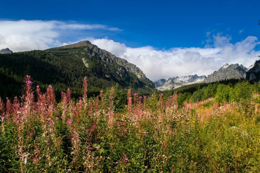 Hiking in the high tatras in slovakia