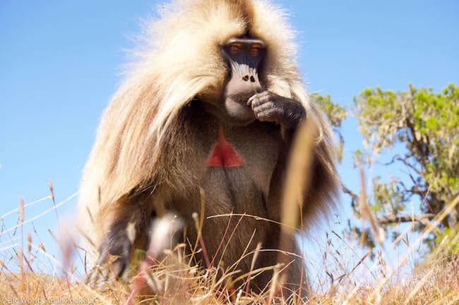 Hiking around ethiopia