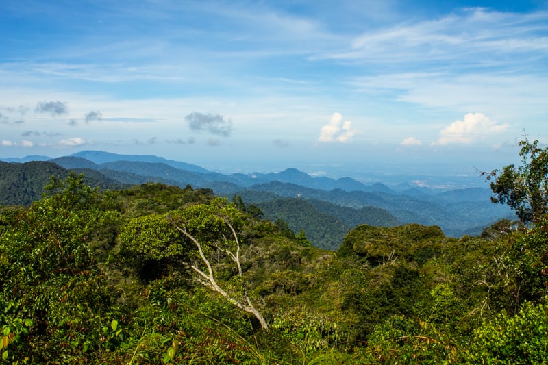 Hiking in the cameron highlands in malaysia