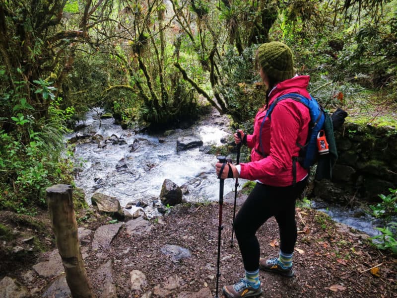 hiking in the valle de cocora in colombia